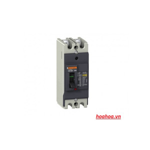 Aptomat MCCB EZC100H2075 - 2P 75A 50kA