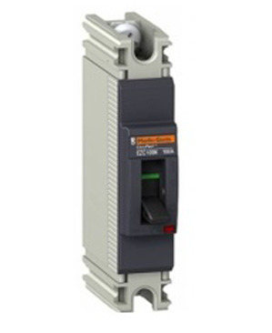 Aptomat - MCCB Schneider 1P 100A 25kA EZC100H1100