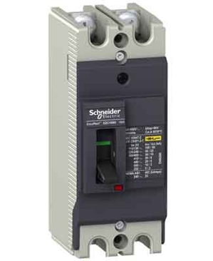 Aptomat - MCCB Schneider 2P 100A 85kA EZC250H2100