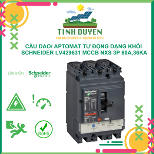 Aptomat - MCCB Schneider 3P 80A 36kA LV429631