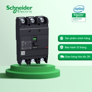 Aptomat - MCCB Schneider EZC250F3250