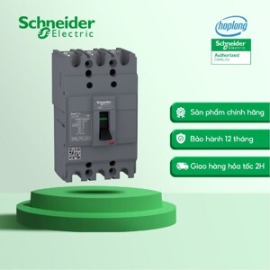 Aptomat Schneider MCCB EZC100F3025