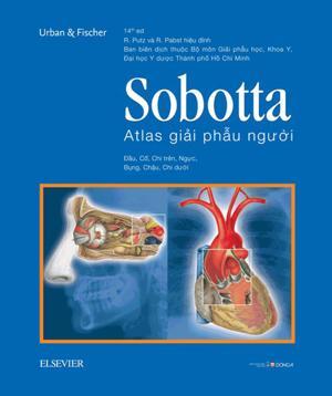 Atlas Giải Phẫu Người