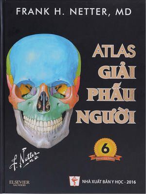 Atlas Giải Phẫu Người