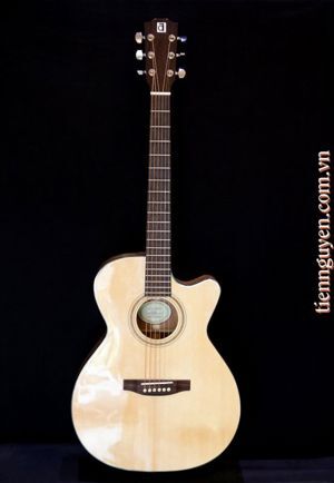 Đàn Guitar Ayers Acoustic ACSM