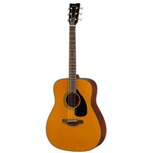 Đàn Guitar Ayers Acoustic DCS