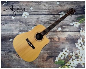 Đàn Guitar Ayers Acoustic DCSOL