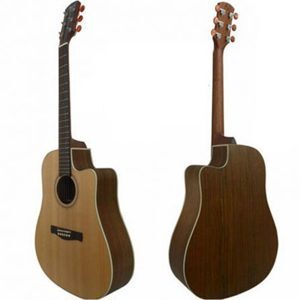 Đàn Guitar Ayers Acoustic DCSOL