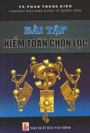 Bài tập kiểm toán chọn lọc