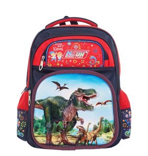Balo chống gù Hasun HS803