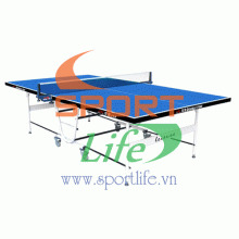Bàn bóng bàn Double Fish DF-339