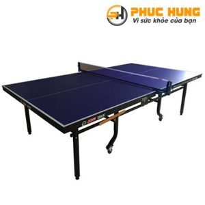 Bàn bóng bàn DHS-2024