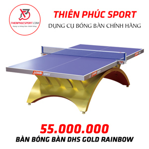 Bàn bóng bàn DHS Gold Rainbow