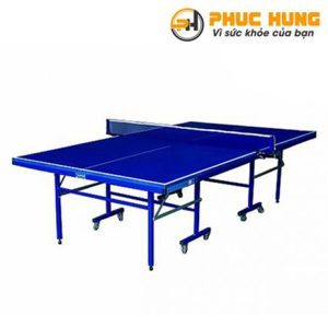 Bàn bóng bàn Đức Long PT-04