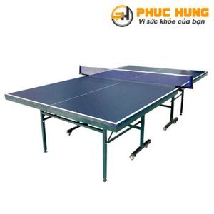 Bàn bóng bàn Đức Long PT-05