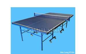 Bàn bóng bàn Đức Long PT 06