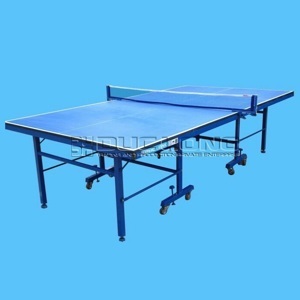 Bàn bóng bàn Đức Long PT 06