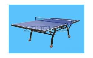 Bàn bóng bàn Đức Long TĐ-04