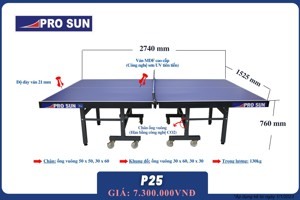 Bàn bóng bàn Pro sun P25 (Bình Minh P25)