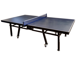 Bàn bóng bàn thi đấu Vifa sport T3551 (303551)