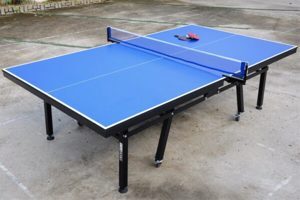 Bàn bóng bàn thi đấu Vifa sport T3551 (303551)