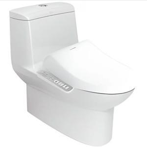 Bàn cầu 1 khối American Standard VF-2010PL