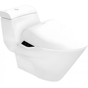 Bàn cầu 1 khối American Standard VF-2010PR
