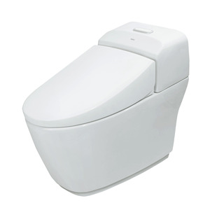 Bàn cầu 1 khối Inax AC-1032VN