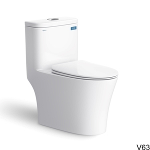 Bàn cầu 1 khối Viglacera V63