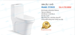 Bàn cầu 1 khối Zico ZC0828