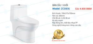 Bàn cầu 1 khối Zico ZC0836