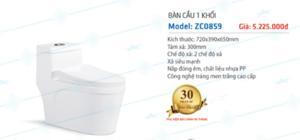 Bàn cầu 1 khối Zico ZC0859