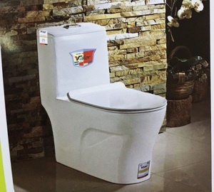 Bàn cầu 2 khối CERAVI C304