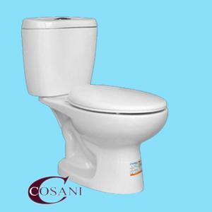 Bàn cầu Cosani RI502E, 2 khối