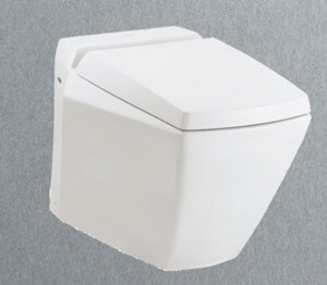 Bồn cầu đặt sàn Toto CW681