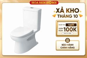 Bàn cầu hai khối INAX AC-808VN/BW1