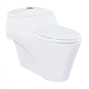 Bàn cầu một khối Toto CW823NWF