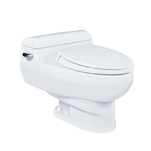 Bàn cầu một khối TOTO MS436BT2