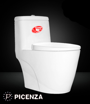 Bàn cầu Picenza PZ8173