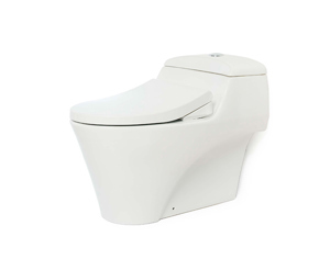 Bàn cầu Toto 1 khối CW823RAE2