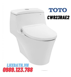 Bàn cầu Toto 1 khối CW823RAE2