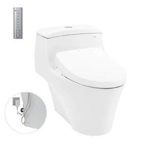 Bàn cầu Toto 1 khối CW823RAW11 - nắp điện tử Washlet