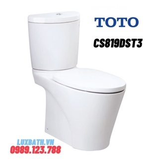 Bồn cầu TOTO 2 khối CS819DST3 (CST819SDRS1)