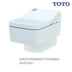 Bồn cầu treo tường TOTO CW512YR/9AE0017/TC501CVK