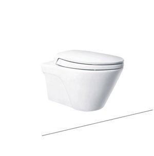 Bồn cầu treo tường Toto CW822NJWS