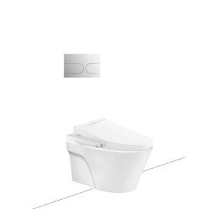 Bàn cầu treo tường ToTo CW822RA