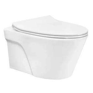 Bàn cầu treo tường ToTo CW822RA