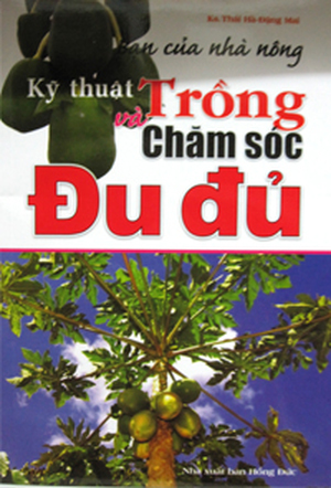 Bạn của Nhà nông - Kỹ Thuật Trồng và Chăm Sóc Đu Đủ