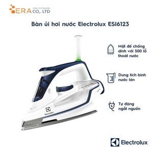 Bàn là hơi nước Electrolux ESI6123