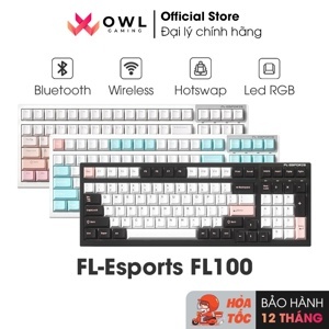 Bàn phím cơ không dây FL-Esports FL100 CPM